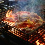 押岡地鶏の炭火焼きや国産本マグロが楽しめるコースとなっております