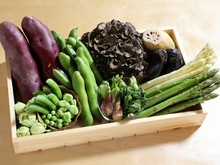 御茶ノ水の個室女子会におすすめのお店 ヒトサラ ヒトサラ