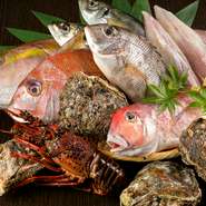 三重県尾鷲漁港から直送される鮮魚が存分に満喫できます。板前が直接出向き、信頼関係を築く事で、地元でしか味わえない珍しい魚や季節ならではの新鮮魚介の提供を実現しています。