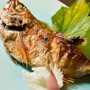 「魚」は季節の鮮魚を漁港から直送、旨味と鮮度にこだわり、仕入れを行っていると料理人。また生の「サバ」や「エンザラ」といった珍しい魚の用意もあり、希少なおいしさを堪能することができそうです。