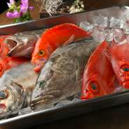 中央卸市場に出向き入荷している旬魚・旬菜をチェック。信頼のおける仲買人から、珍しい魚介を積極的に買い付けます。ゲストへ新たな魚の紹介ができるよう、魅力を引き出す調理法・ソースなどを考案。