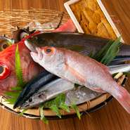 長浜鮮魚市場直送の魚介に加え、日本各地の漁港からも鮮魚を直接仕入れ。また、店の創業時に故郷・鹿児島に自家畑を取得。父母のサポートと共に完全無農薬野菜を育てており、現地から採れたてを直送しています。