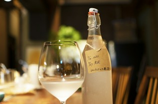 甘酸っぱい味わいがクセになる、ヘルシーな『コンブチャ』