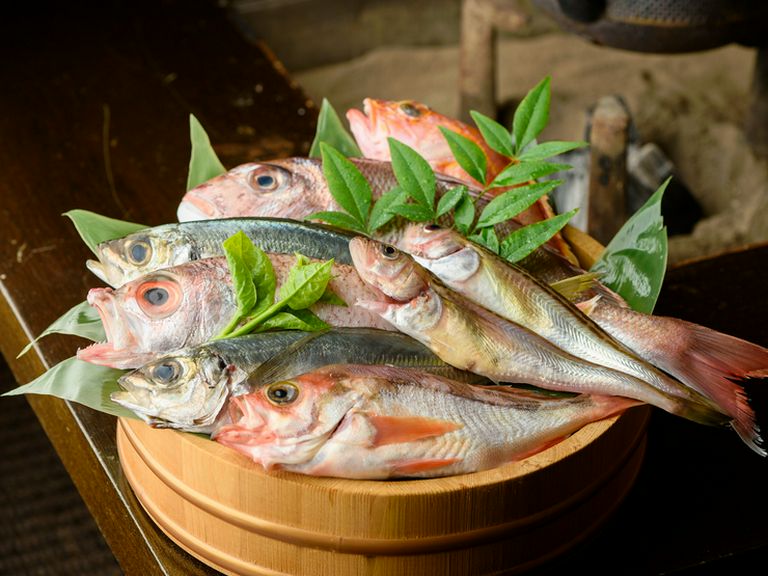 季節の幸でもてなす『旬の料理』