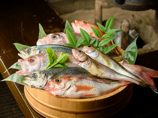 酒味处 赤兔马