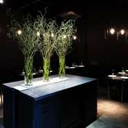 照明と樹木の選定によって、店内は日常の中にある非日常を表現しているかのよう。大切な人を喜ばせたい、満足させたい、理想を現実にするようなデートを行いたい時には、ぜひ。