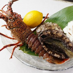 活伊勢海老の鉄板焼〈要予約〉