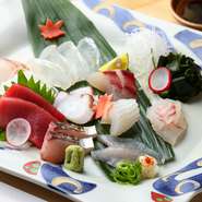 明石をはじめ各地の漁港より当日仕入れた鮮魚から、厳選し盛り合わせ。“5種の盛り合わせ”ながら、5品以上になることもしばしば。とにかく人を喜ばせたい、そんな心意気を感じさせます。