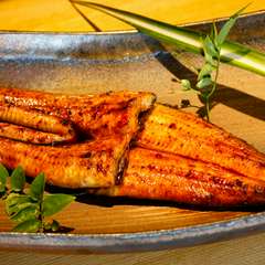 宮崎産　鰻　蒲焼き・白焼き　