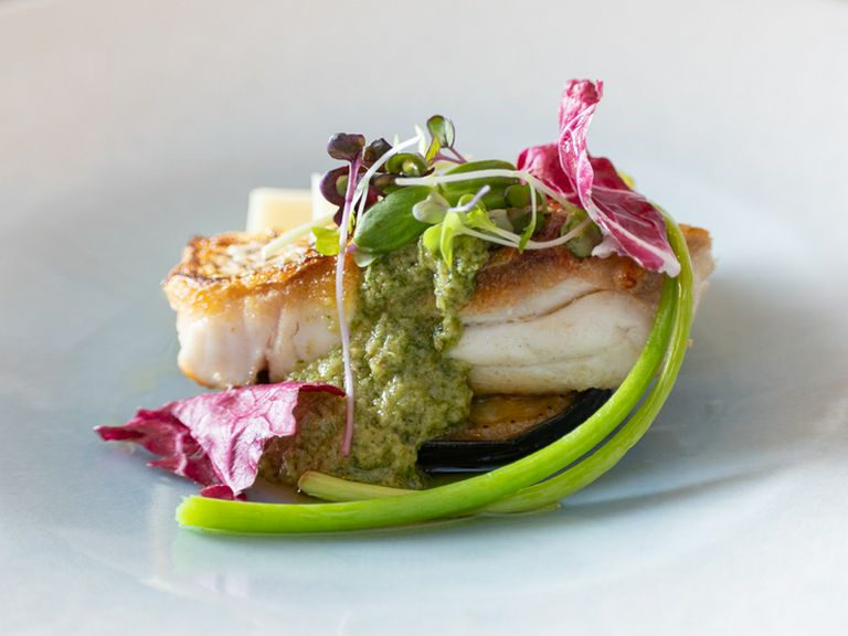 三浦野菜、浜田漁港直送の鮮魚など、全国各地の厳選素材を使用