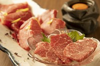 青森県五戸町で生産された馬肉を使用。

肩ロースと上刺しの2種類の盛り合わせ。

卵黄と八方汁を合わせたタレとの相性はあまりにも抜群。