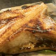特大！！まとう鯛油焼き