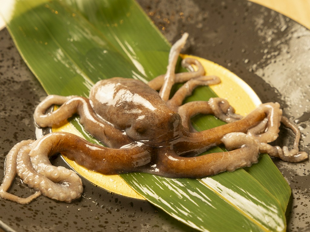 手長ダコの踊り食い