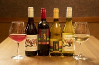 マプ・ソーヴィニヨン・ブラン
グラス　880円
ボトル　5280円

サングリア白　638円