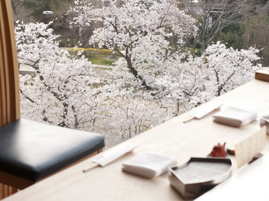 桜が見えるお席