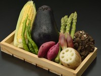 旬の野菜の美味しさを一品一品知って頂ける、野菜を得意とする山の上の魅力が詰まった季節を感じられるコースです。
<お品書き>
・野菜(9品)
・野菜のかき揚げ
・赤出し
・ご飯
・香の物
・アイスクリーム