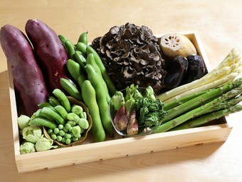 季節の小鉢、活車海老、9種類の旬のお野菜を楽しんで頂けるコースです。最後は定番のかき揚げでお食事を。