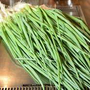 『お好み焼』のおいしさをさらにアップさせる「観音ネギ」