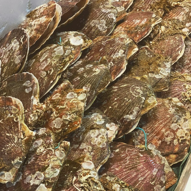 旬の食材にこだわっている