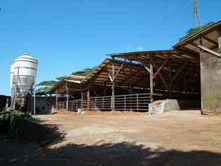 希少部位を含め、良質な赤身肉を厳選して料理店へお届け
