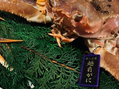 福井県の和食ランチおすすめランキング トップ13 ヒトサラ 福井県の和食ランチおすすめランキング トップ13 ヒトサラ