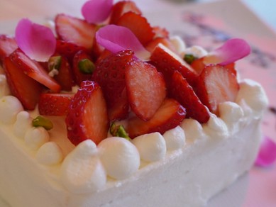 大切な日にコース料理。またはカジュアルにアラカルトも