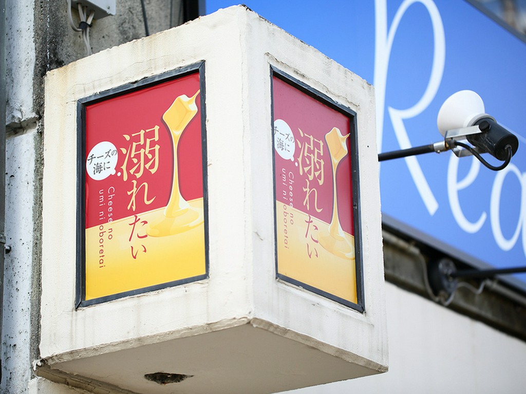 デートや女子会、男性同士の利用にも。チーズ料理を存分に満喫