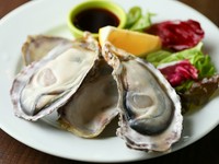 ※仕入れ状況により販売を中止しております。