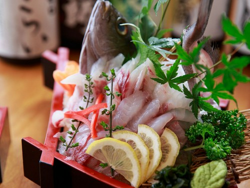豊洲市場直送の鮮魚が毎日入荷。刺身の美しい盛り付けにも注目