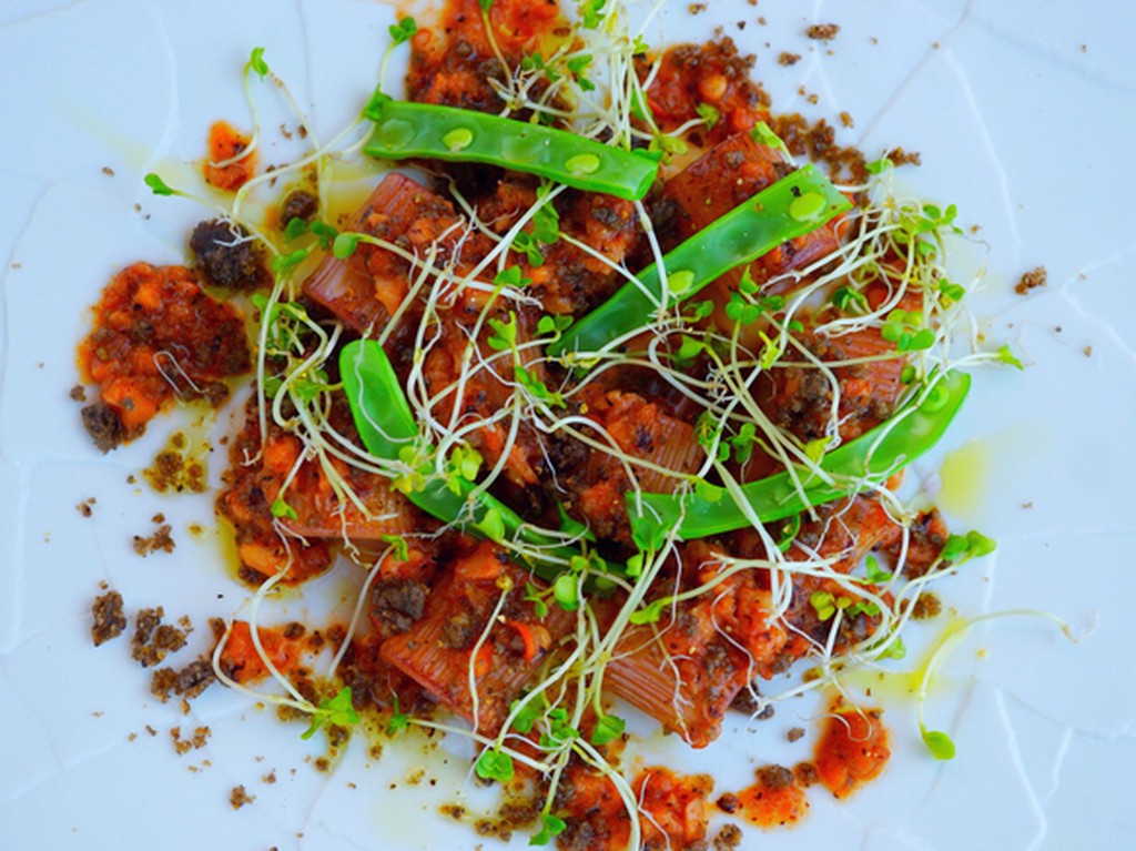 『蛸、オリーブ、赤ワイン』