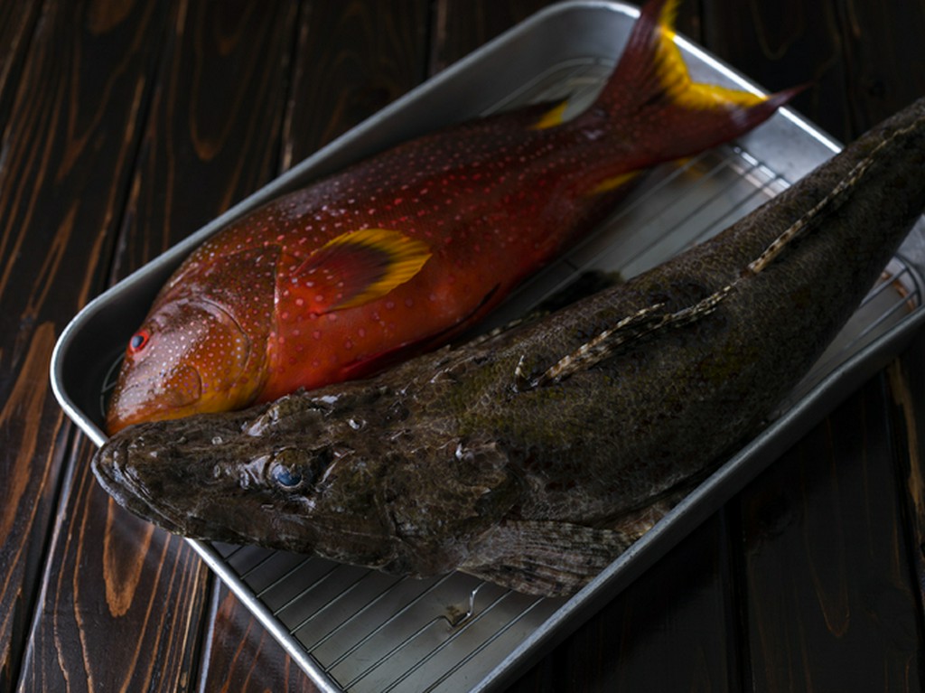 しっかり処理することで、宮古島の魚をもっとおいしく