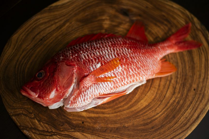 出来る限り自分で仕留めた食材を使うべく、狩猟免許も取得