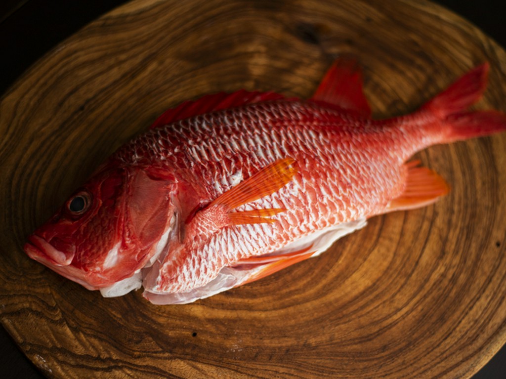 出来る限り自分で仕留めた食材を使うべく、狩猟免許も取得