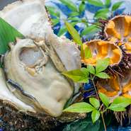 瀬戸内海で獲れた天然の岩牡蛎をお得な値段でいただける人気のメニュー。ぷりぷりとした食感がたまりません。季節により異なる種類の牡蛎を仕入れているため、1年中食べたい時にいただくことができます。