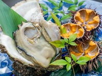 瀬戸内海で獲れた天然の岩牡蛎をお得な値段でいただける人気のメニュー。ぷりぷりとした食感がたまりません。季節により異なる種類の牡蛎を仕入れているため、1年中食べたい時にいただくことができます。