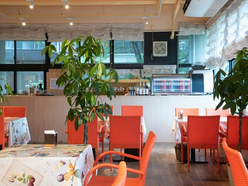 観葉植物やオレンジの椅子が映える、白を基調とした内装
