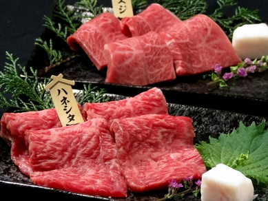 高槻の焼肉おすすめグルメランキング トップ2 ヒトサラ