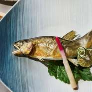 岐阜を代表する食材の一つが「鮎」ですが、食するときに気になる骨や、調理法が塩焼きなど単調になりがちな食材でもあります。その「鮎」を、素材の味を活かしながらおいしく食べられるように仕上げた一品。