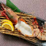 白く艶やかでプリプリした身においしさを詰め込んだ、海の恵みを丸ごといただく『シータイガー』