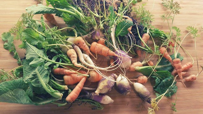 ヘルシーメニュー