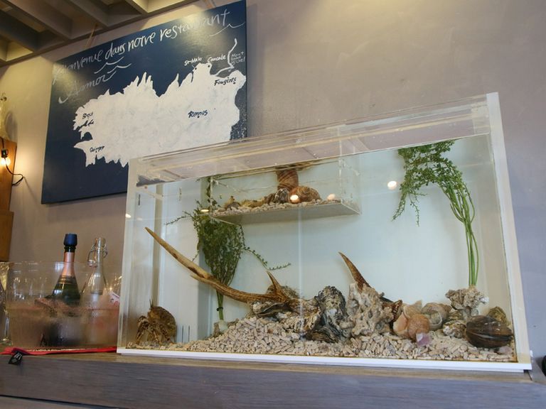 オシャレな水槽では、新鮮な貝たちがスタンバイ