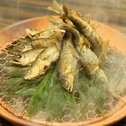 北海道ではあまり食べないという鮎や鱧も生きた状態で仕入れ、厨房内の水槽で泳がせてから活け締めに。京都の錦市場から取り寄せた特上ちりめんは、すっぽんのだしで炊き上げています。ご飯と共にどうぞ。