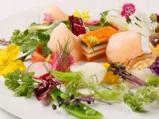 吉野泰郎国际门户北海道