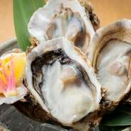 狐崎の沖合で養殖される生牡蠣は、波が荒く栄養素の豊富な環境で育つため大粒で美味。通年食せるのも魅力です。季節によって変化する、牡蠣の味わいを楽しんでみるのも一興かもしれません。