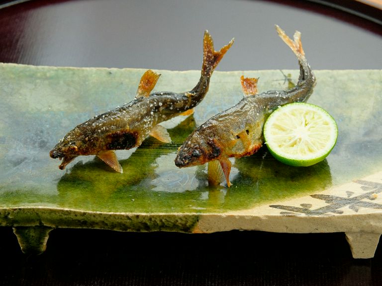 琵琶湖安曇川の新鮮な鮎を、いけすから水揚げ『活けあゆ塩焼き』　4月〜11月頃のみ