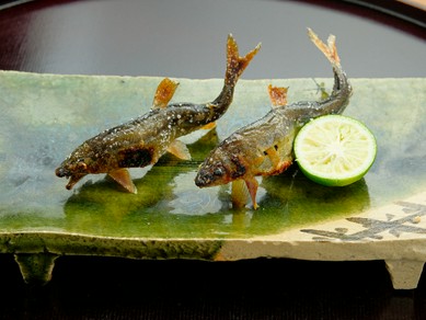 琵琶湖安曇川の新鮮な鮎を、いけすから水揚げ『活けあゆ塩焼き』　4月～11月頃のみ