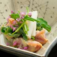 味噌や酢を混ぜたもので、季節の魚や野菜を和えた郷土料理「てっぱい」。京都のおばんざいとして、とても親しみのある料理です。うど、明石の蛸、湯引きのまぐろなど、四季折々の食材で。