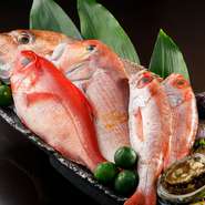 宮城県直送の旬魚介、鎌倉や三浦の新鮮野菜、京野菜が集う