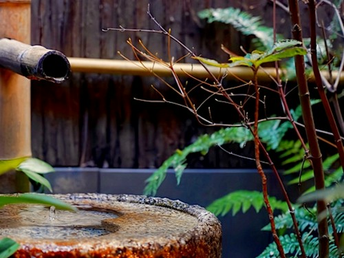 豊かな緑に癒やされる、手入れの行き届いた坪庭