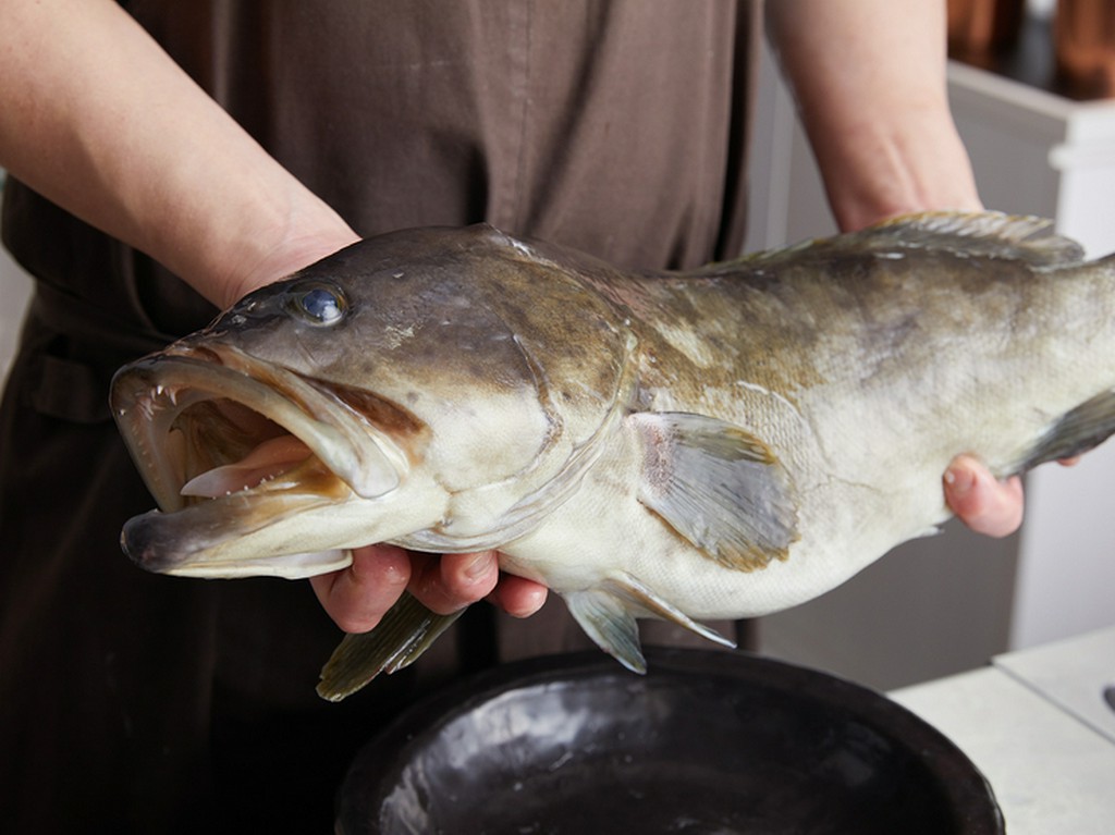 良質な食材は信頼の証。旬の機会を逃さない仕入れの秘密